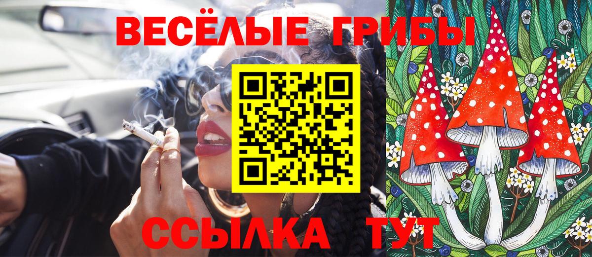 Псилоцибиновые грибы Magic Shrooms  Вход с VPN  Сафоново  Псилоцибиновые грибы мицелий 